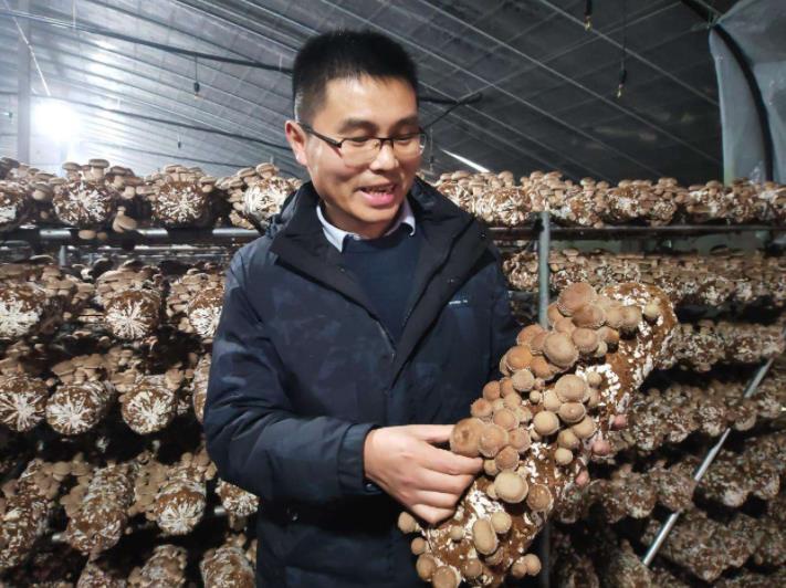 風雪彌漫處 喜采豐收菇